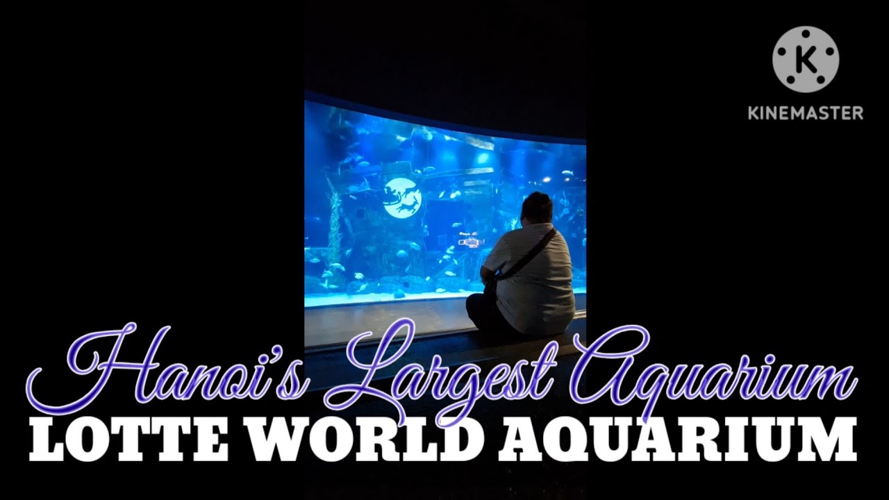 LOTTE WORLD AQUARIUM HANOI - One of Asia's Largest Indoor Aquarium with iver 91,000 Aquatic Species