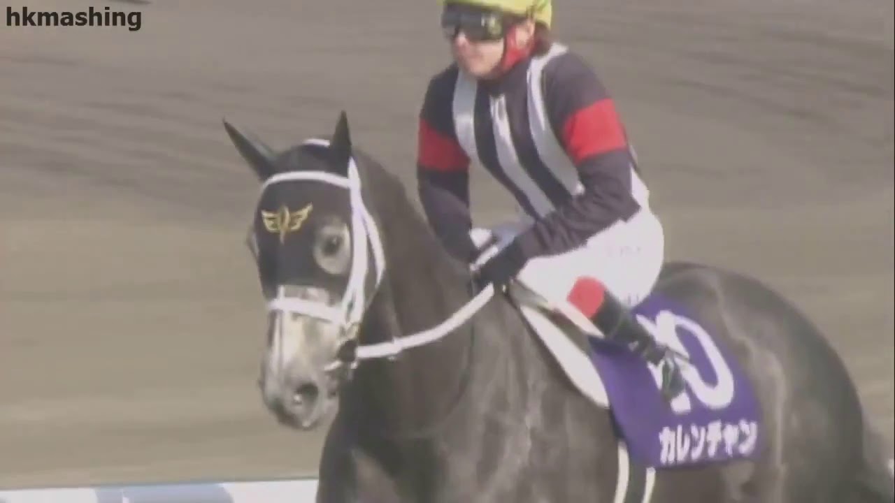 2012 Takamatsunomiya Kinen G1 - Curren Chan (真機靈) - K.Ikezoe