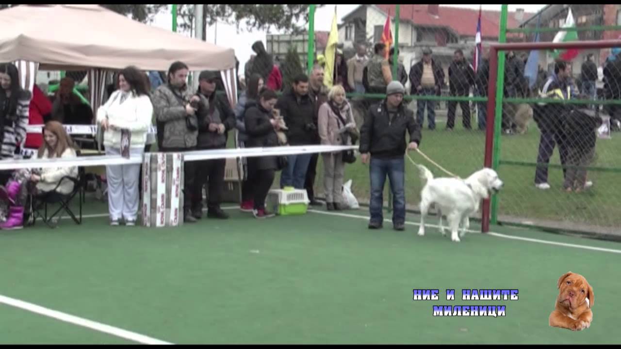 TV ORBIS - NIE I NASITE MILENICI 18.04.2015