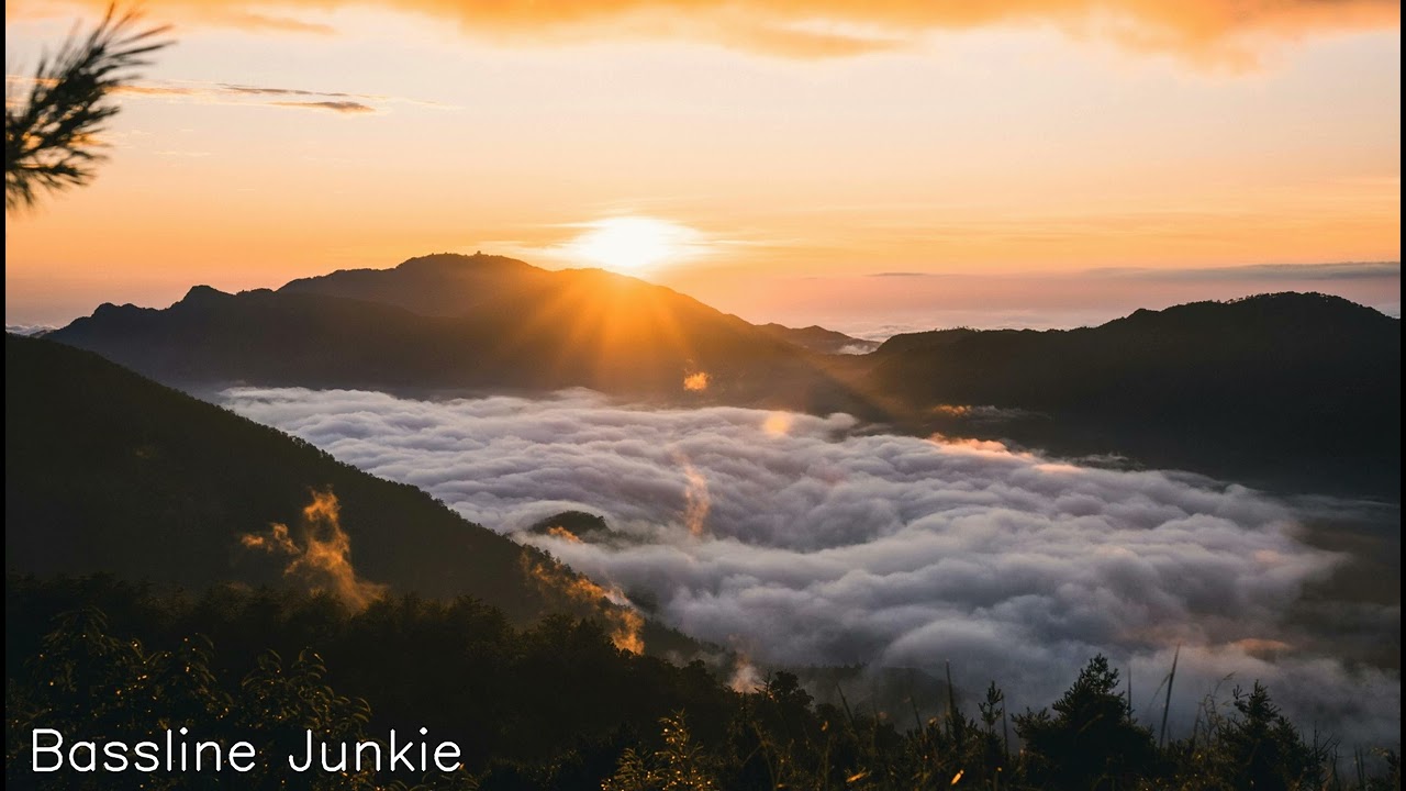 Bassline Junkie - Copyright Free Housemusic #house #music #cfm