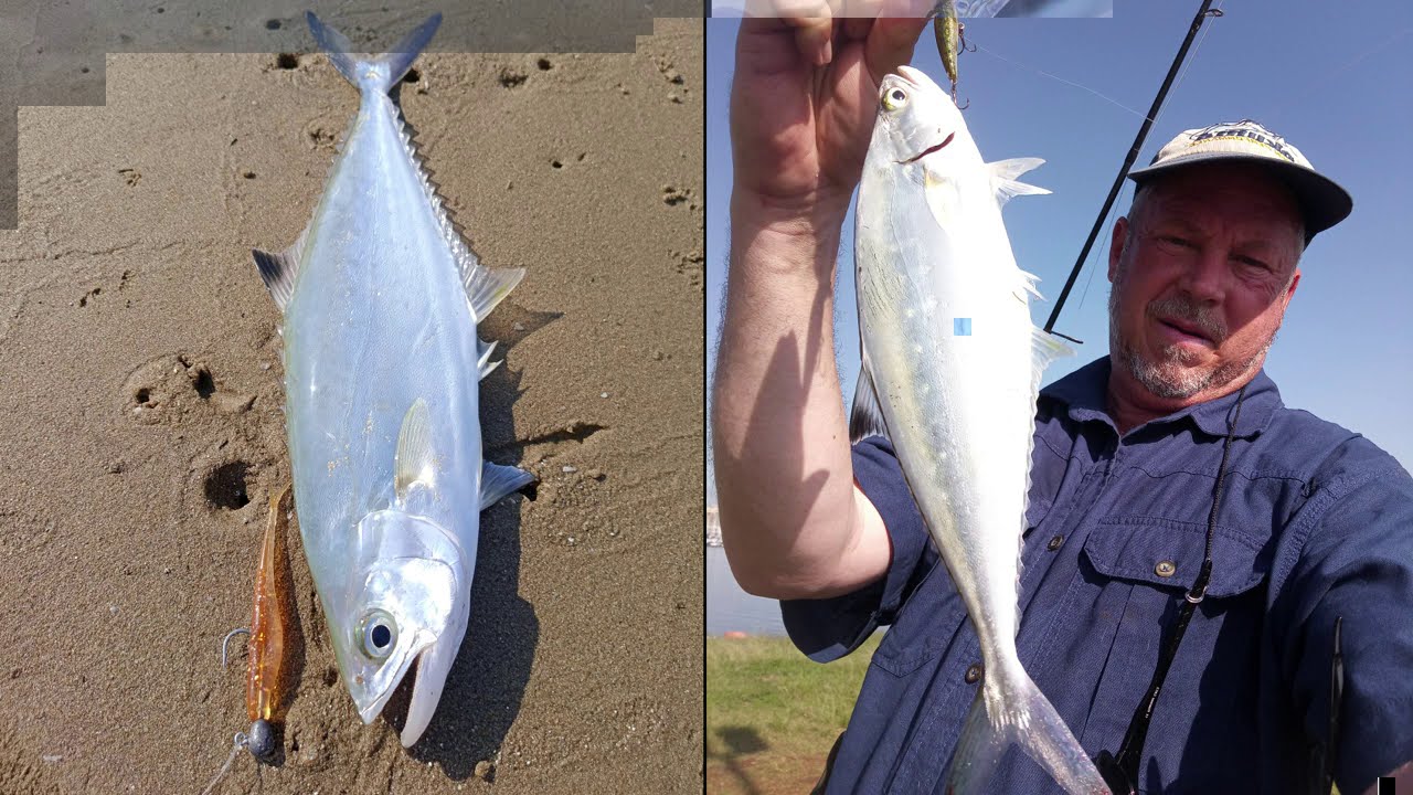 Fishing Yacht Mole Durban Harbour
