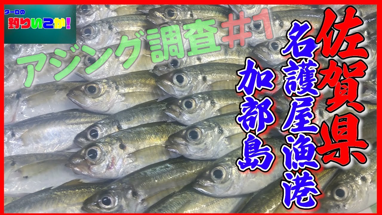 2023アジング調査＃１【加部島～名護屋漁港】