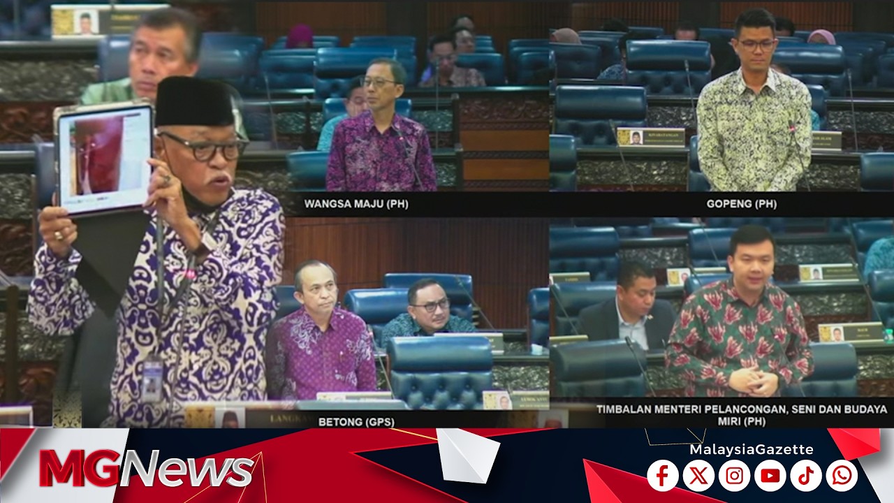 MP Langkawi Cadang Asingkan Anjing Liar Jantan, Betina Di Pulau Berlainan