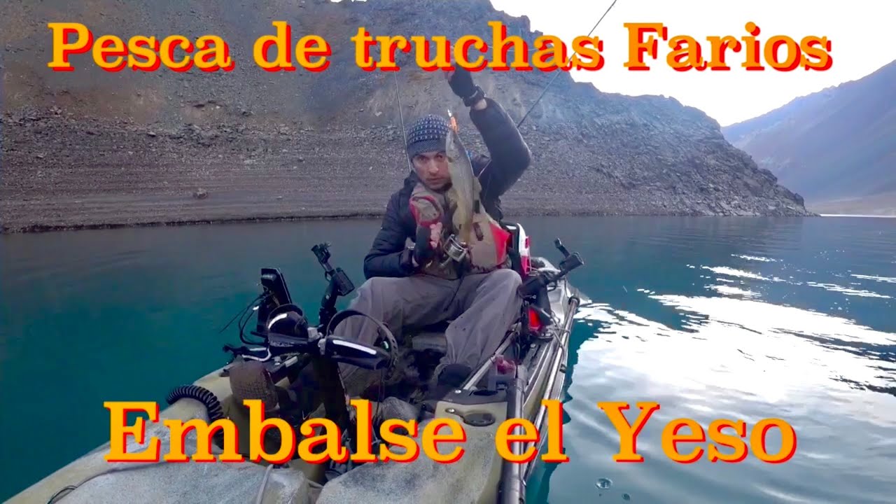 Pesca en embalse el yeso truchas fario