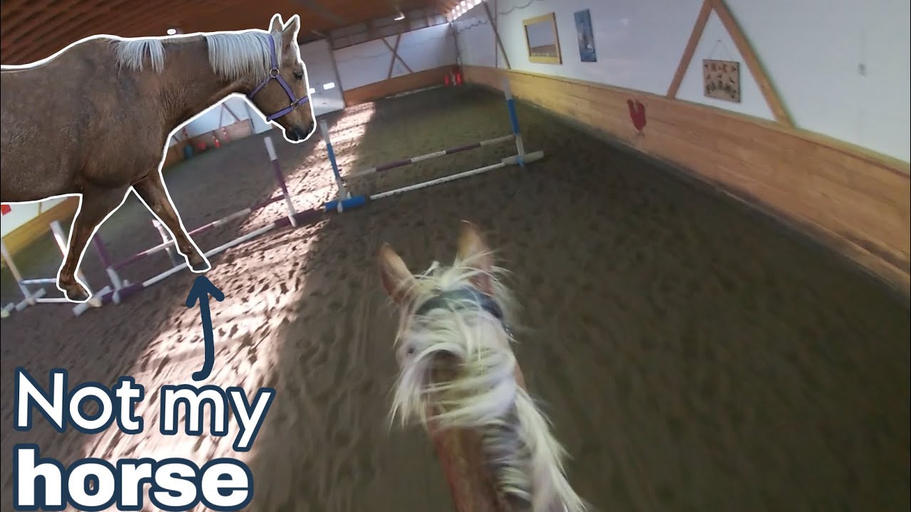 I jumped a different horse!  || GoPro tack up and ride video || life with Luna