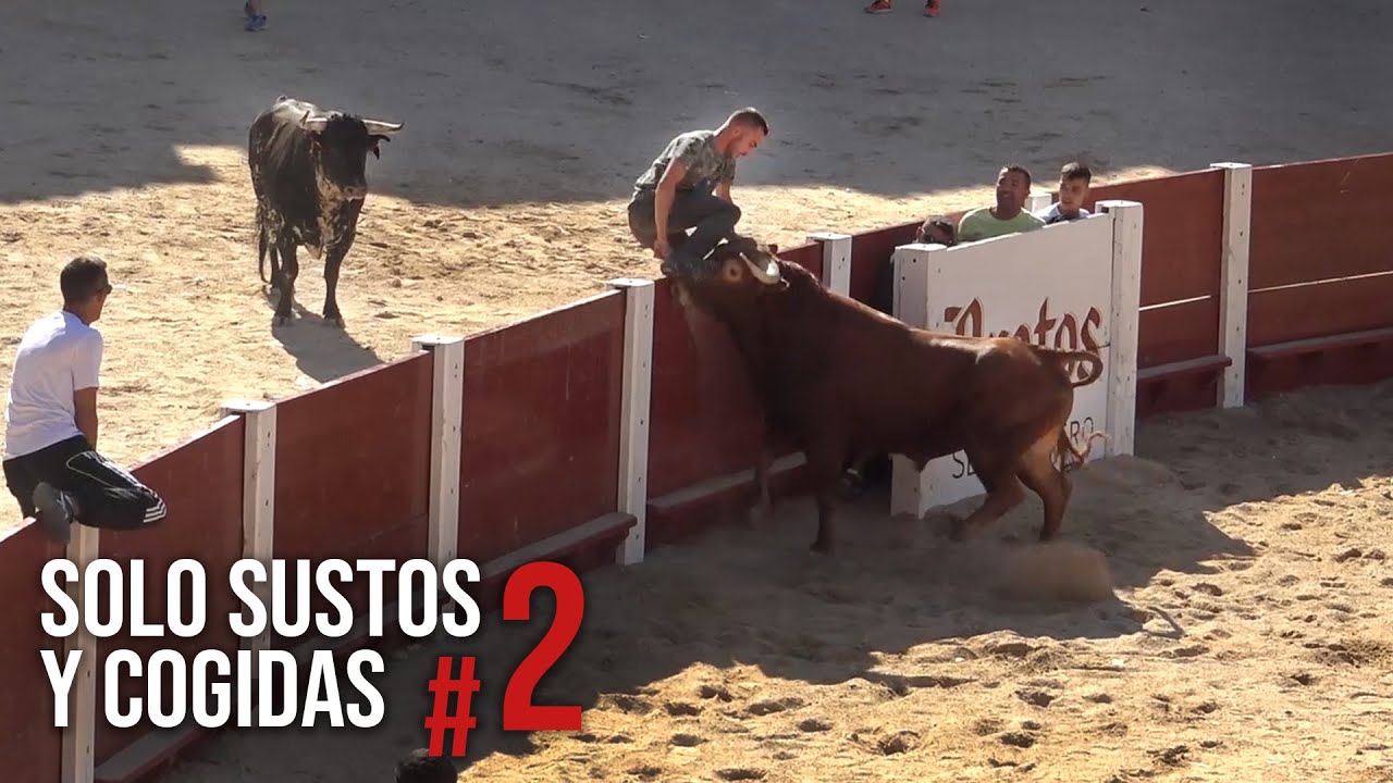Toros Bravos Solo Sustos y Cogidas Parte #2