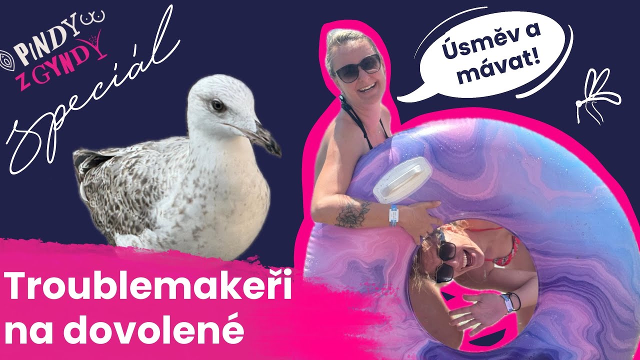 Racek velkej jako stůl, štípalky a plyšové péro!