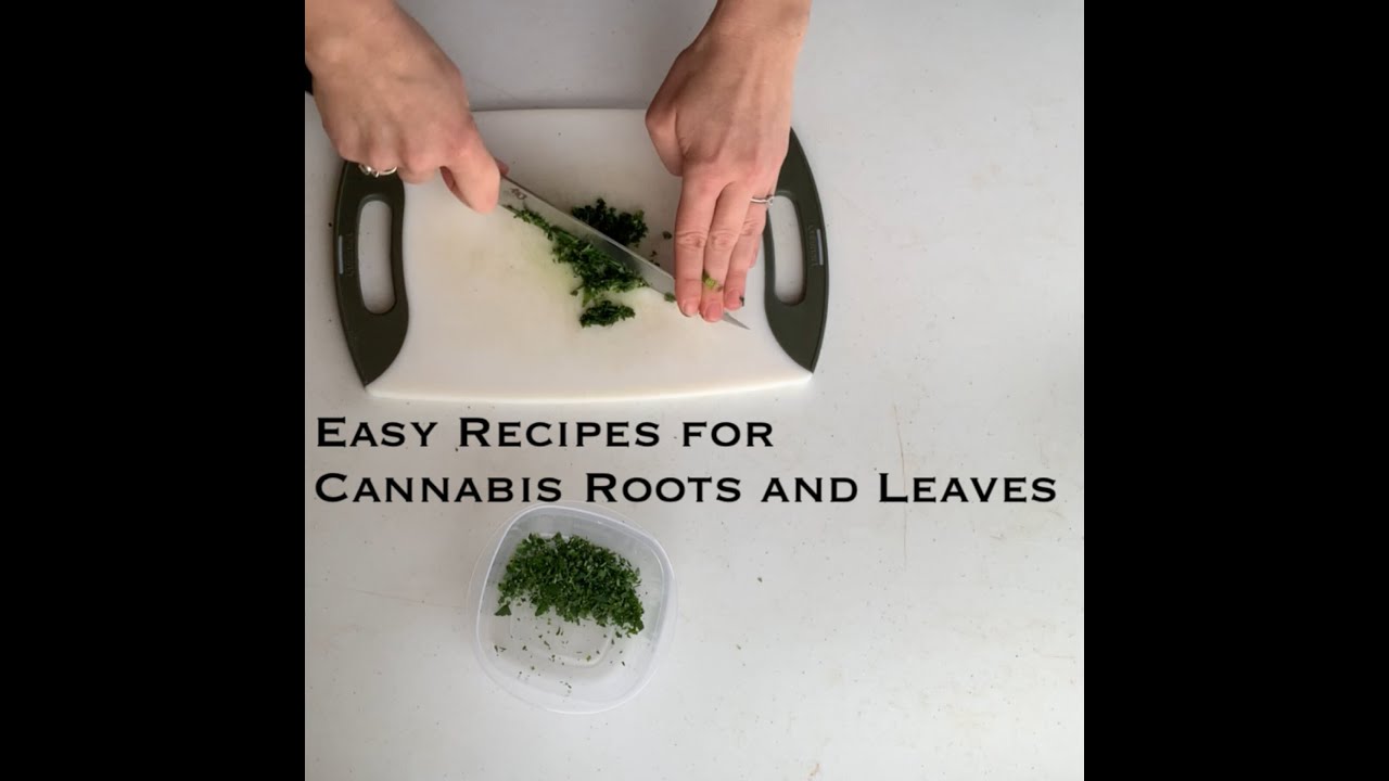 Easy Recipes for Cannabis Roots and Leaves