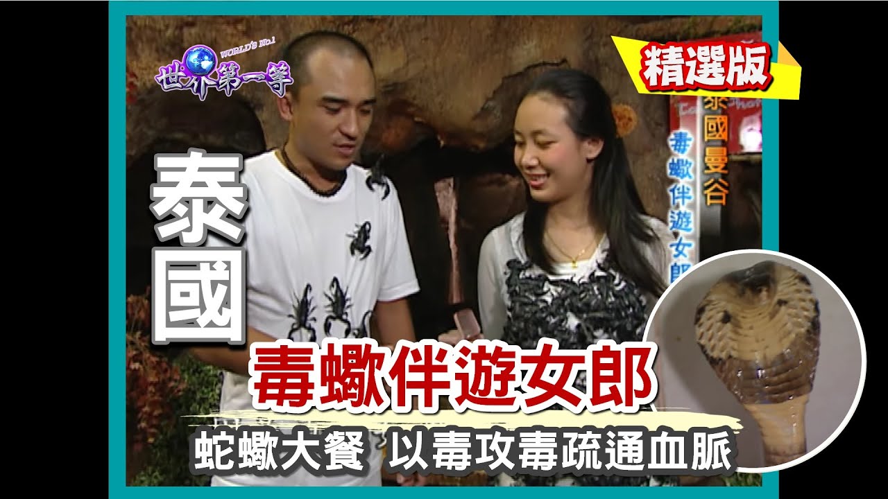 【泰國】毒蠍伴遊女郎 以毒攻毒蛇蠍大餐｜《世界第一等》56集小馬精華版 #好家在我在家