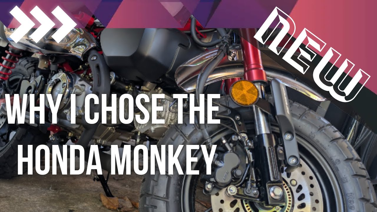 Why I chose the Honda Monkey!