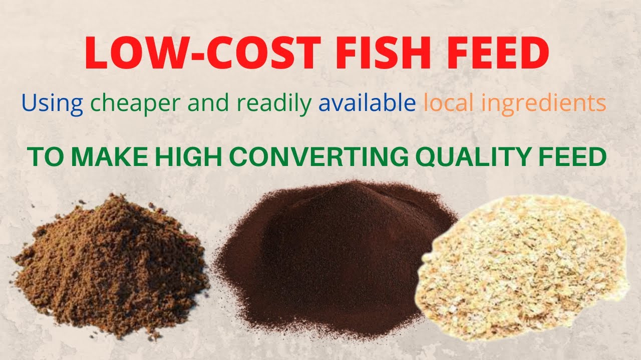 Low Cost Fish Feed| Catfish Feed Formulation