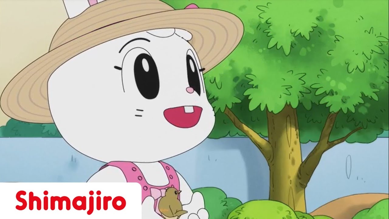 Mimi Lynne's Little Bird | Compassion | 24 Minute Compilation | Kids video for Kids | Shimajiro