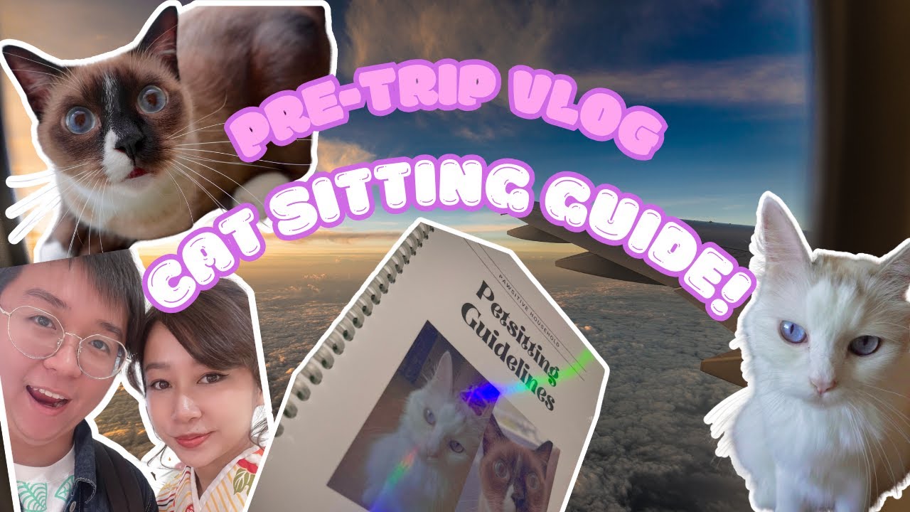 Holiday Cat Sitting Tips 🐱 | How to Prep Your Home & Make Life Easy for Your Cat Sitter! 🏠✨