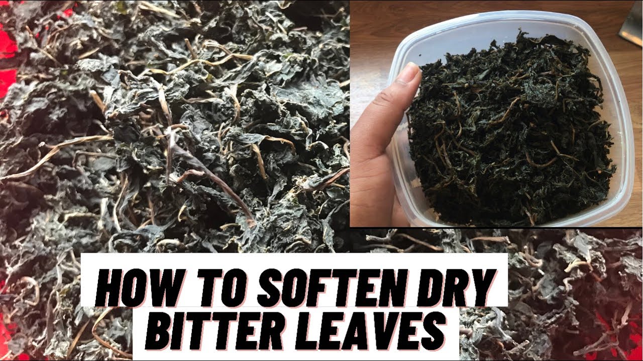 HOW TO SOFTEN DRY BITTER LEAVES. HOW TO SOFTEN DRY ONUGBU AT HOME.