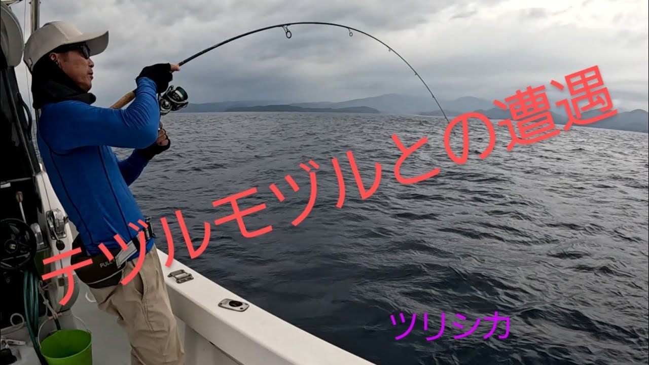 不思議な生物「テヅルモヅル」釣れた！　　　まだまだ知らない海の世界　　ツリシカ