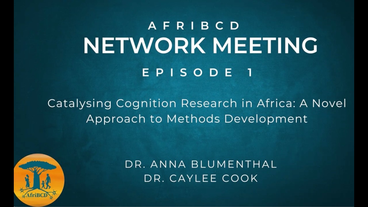 Catalysing Cognition Research in Africa  A Novel Approach to Methods Development