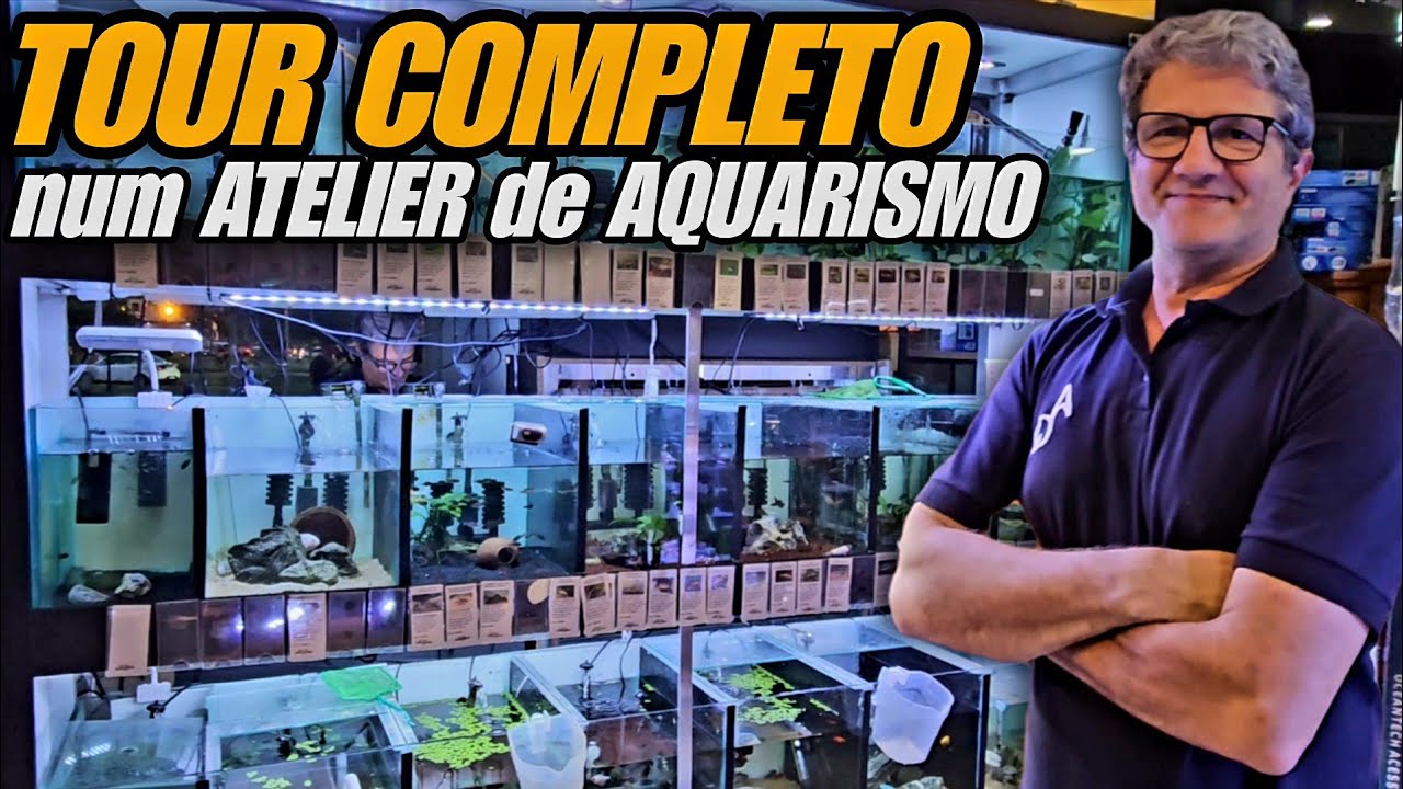 TOUR COMPLETO NUM LINDO ATELIER DE AQUARISMO - ACQUATELIER RJ