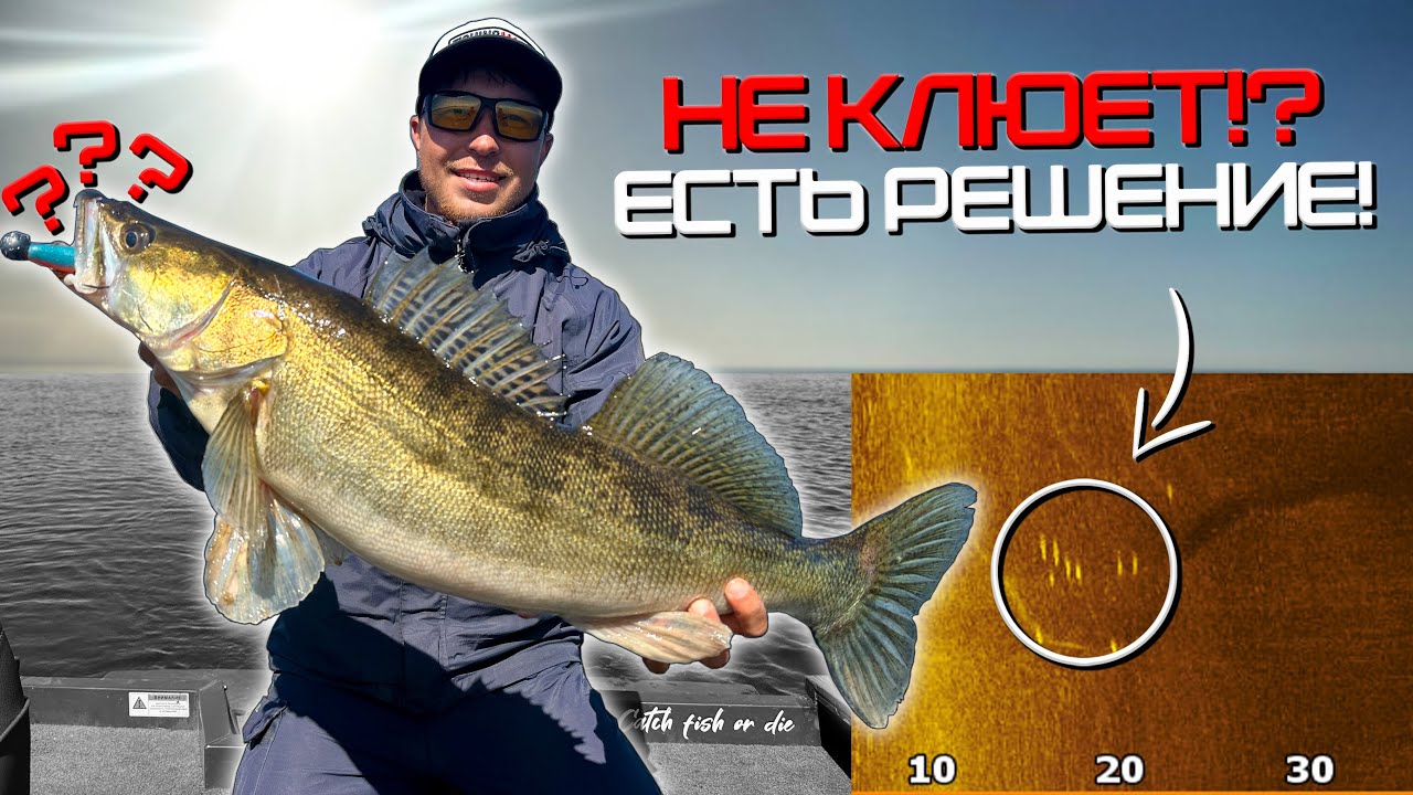 НА ТОЧКЕ 1000 СУДАКОВ, НО НИКТО НЕ ЛОВИТ! Как поймать пассивного судака летом!?