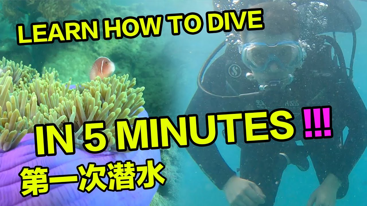 I Learn to Scuba Dive in UNDER 5 MINS (No Lessons)