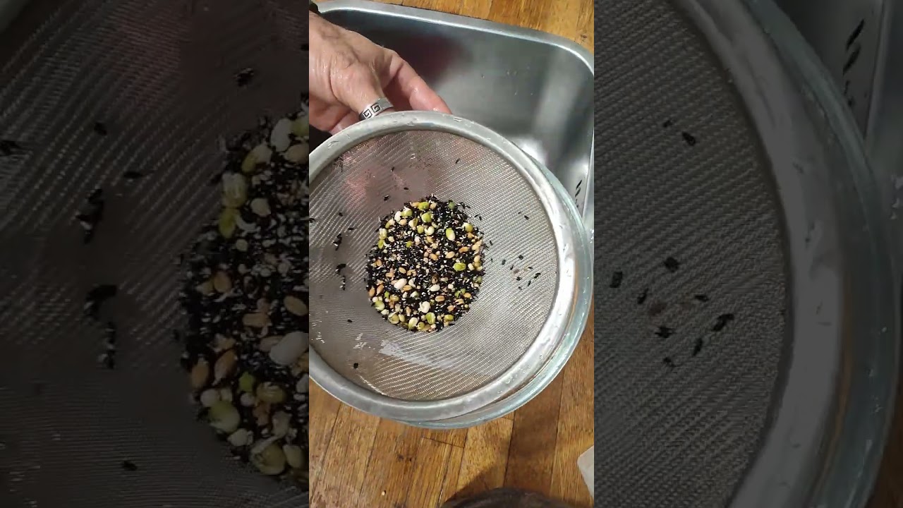 preparación  germinado casero!! 💪👌👌