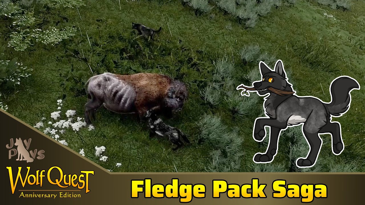 Facing the Fury of the Bison! | WolfQuest Fledge Pack Saga Year 2 #5