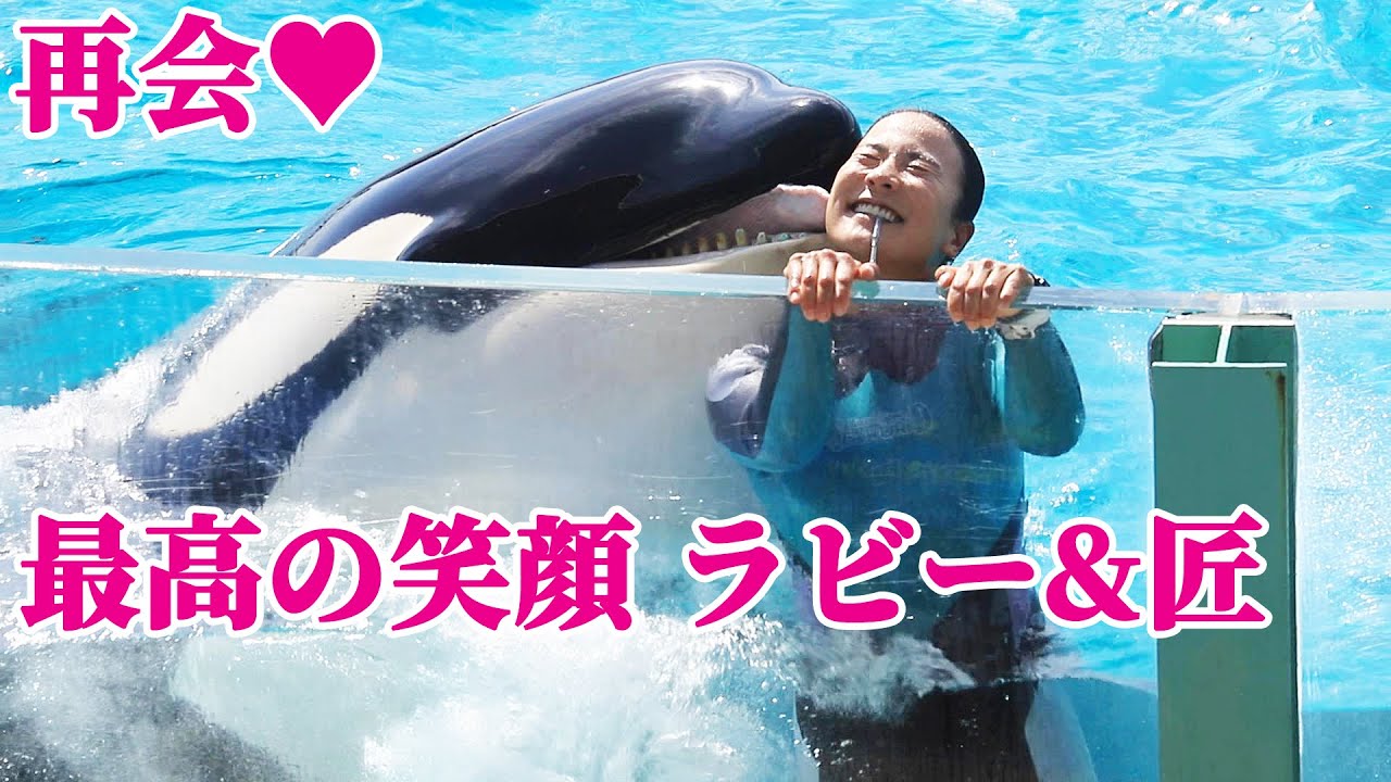 「ラビーと匠」久々の再会!! 鴨川シーワールド シャチショー KamogawaSeaWorld  orca killerwhale