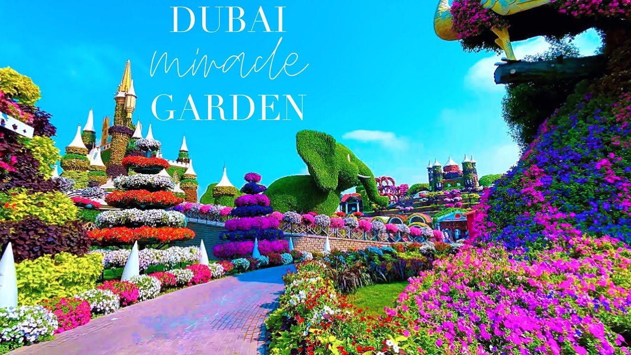 [4K] Dubai Miracle Garden 2024 - Full Walking Tour of The Worlds Largest Flower Garden 🌺
