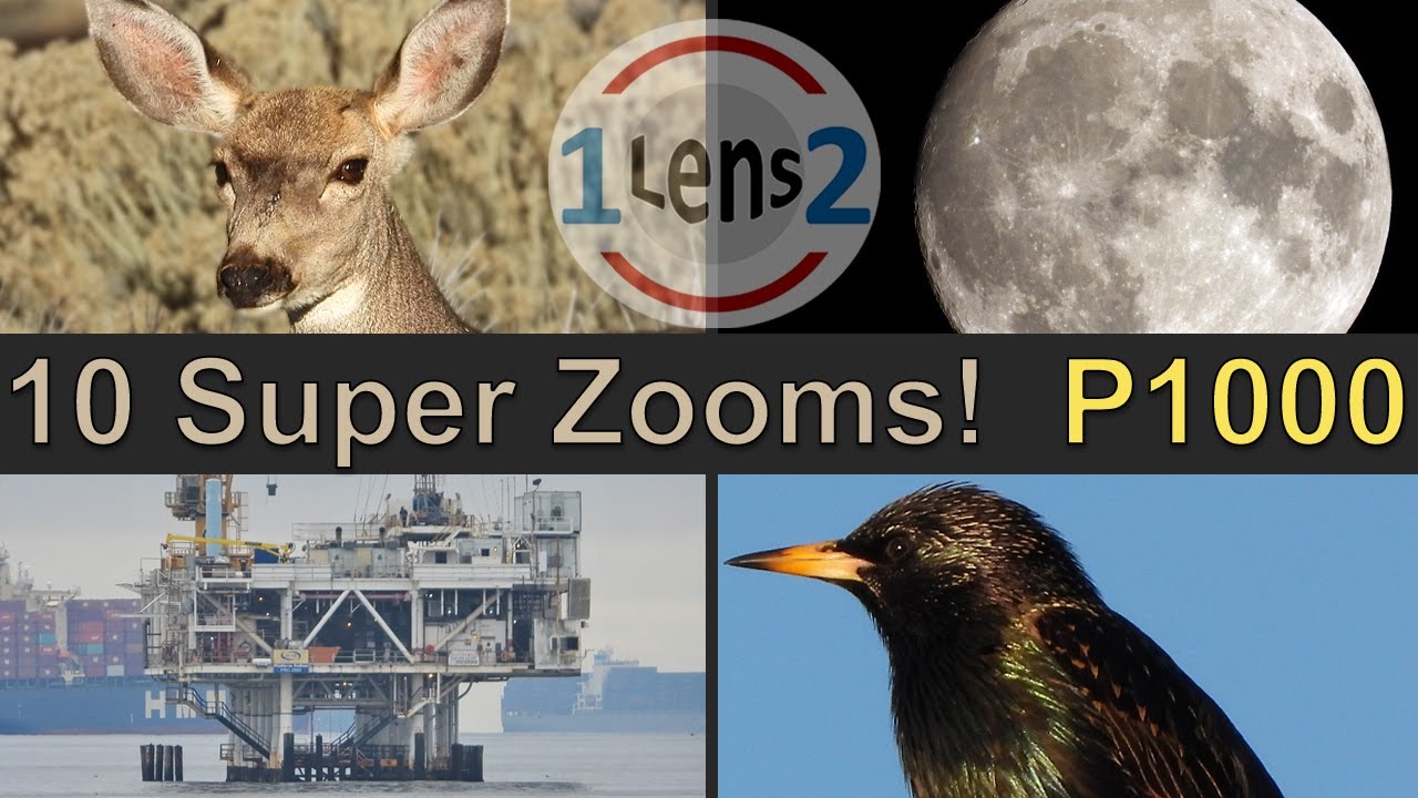EP #2 - Variety of Nikon COOLPIX P1000 Zoom Tests