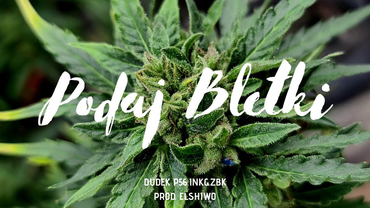 DUDEK P56 - PODAJ BLETKI  FEAT INKG ,ZBK  PROD.ELSHIWO 2020