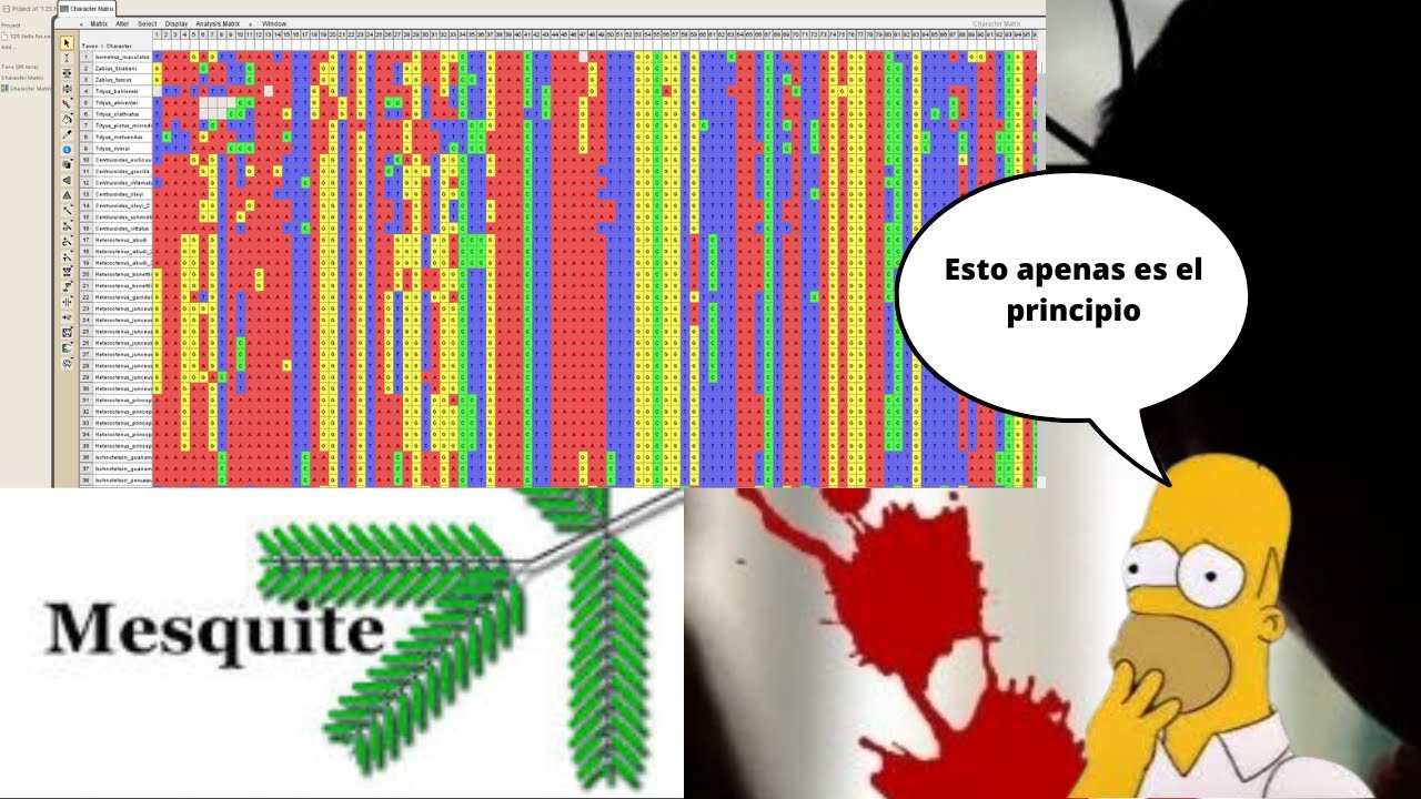 ANALISIS CONCATENADO PARTE 1