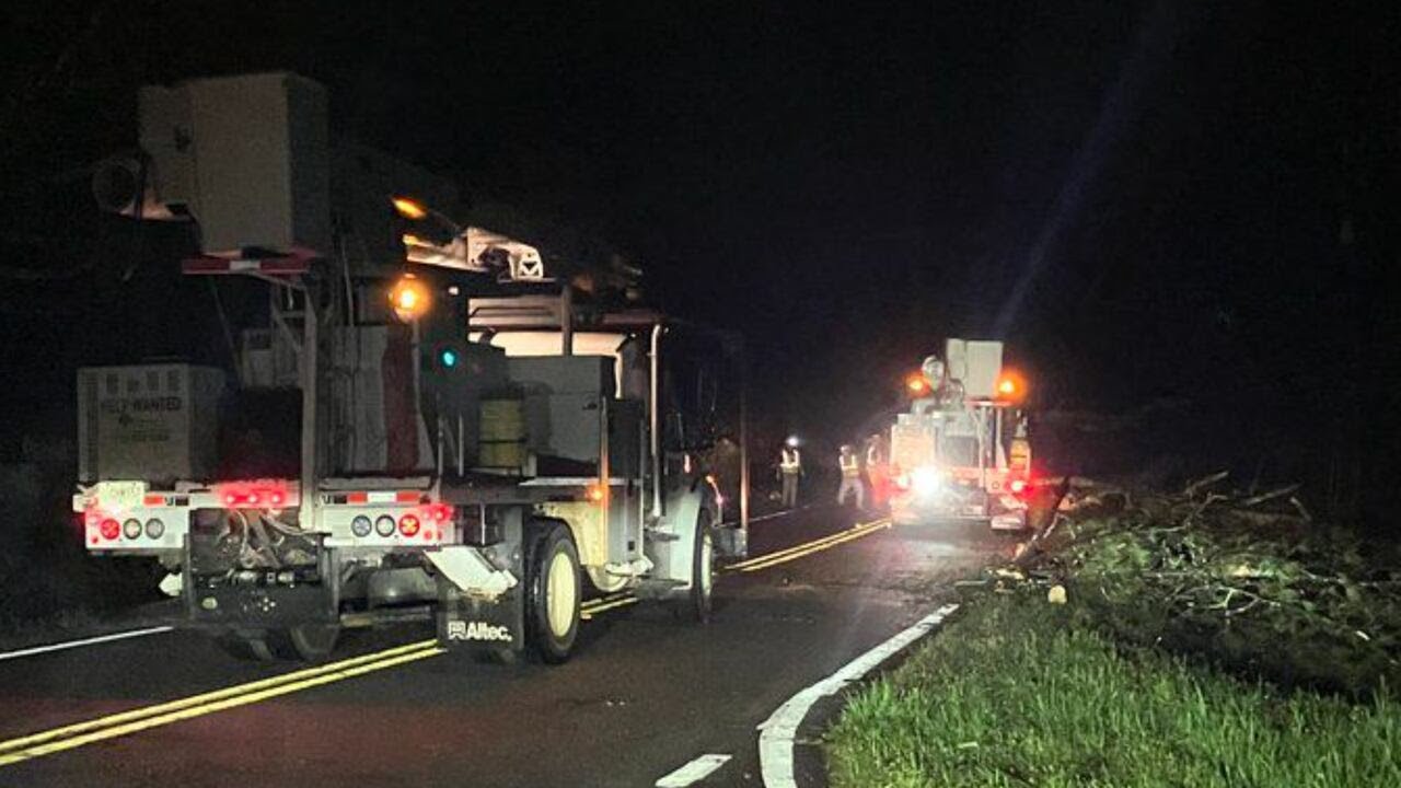 Tornado topples trees, knocks out power across Rockdale County