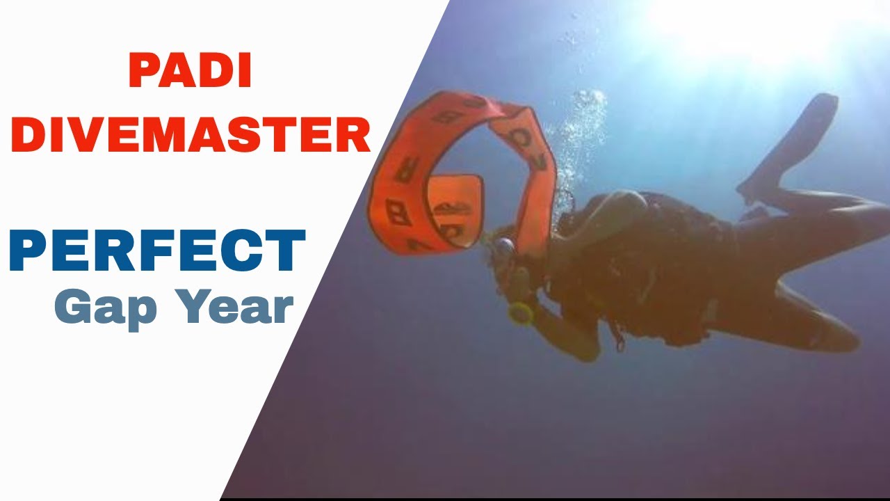 PADI Divemaster Course - I Won it for Free &bull; Vlog 3