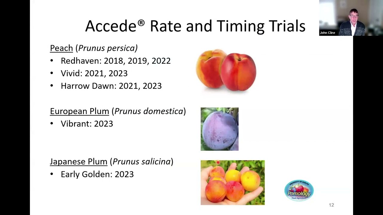 2024 NEFC Winter Sessions- “Thinning w/ Accede™ for apple & peach & Metramitron for apples.”
