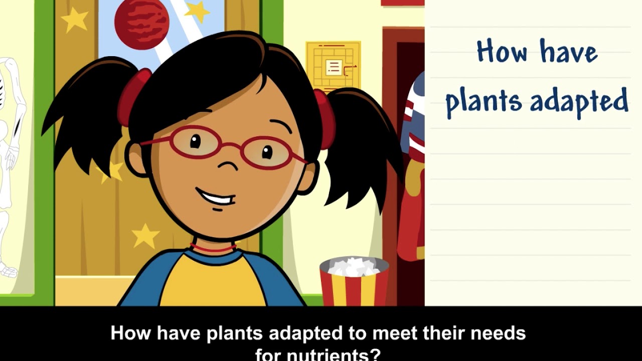 plant adaptations