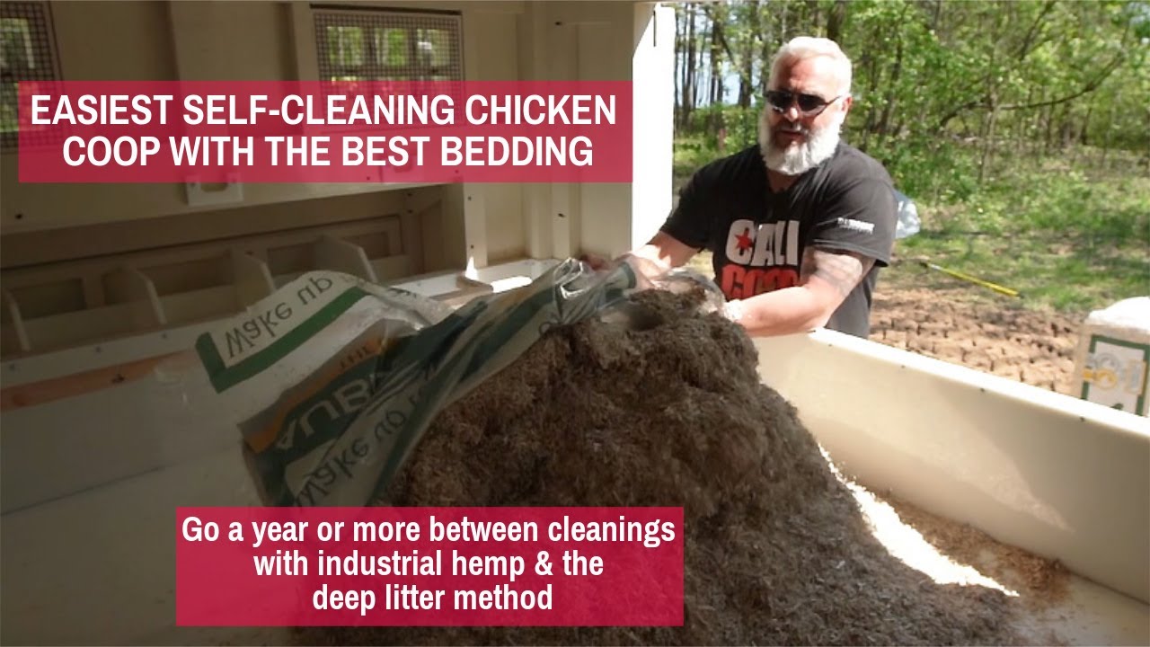 Easiest Self Cleaning Chicken Coop with the Best Bedding | Carolina Coops