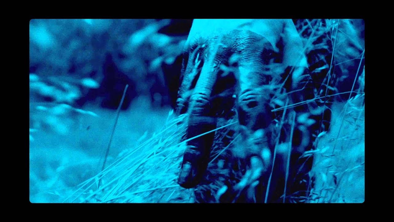 Miss Kenichi - The Ghost (official music video)
