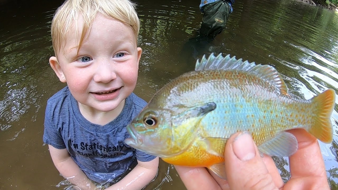 Fishing Mystery Creek - 7 Species on Flies - Micro fishing with Bait & Flies