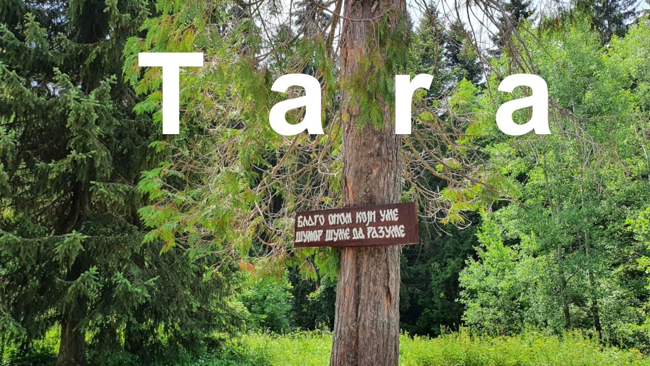 #TARA - Nacionalni park - Mitrovac