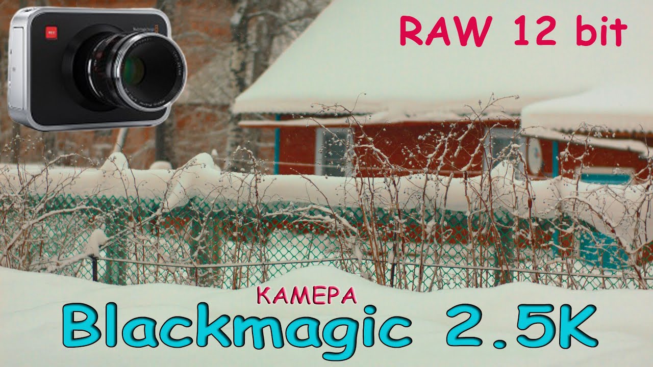 blackmagic cinema camera 2.5K | Как снимают объективы SAMYANG
