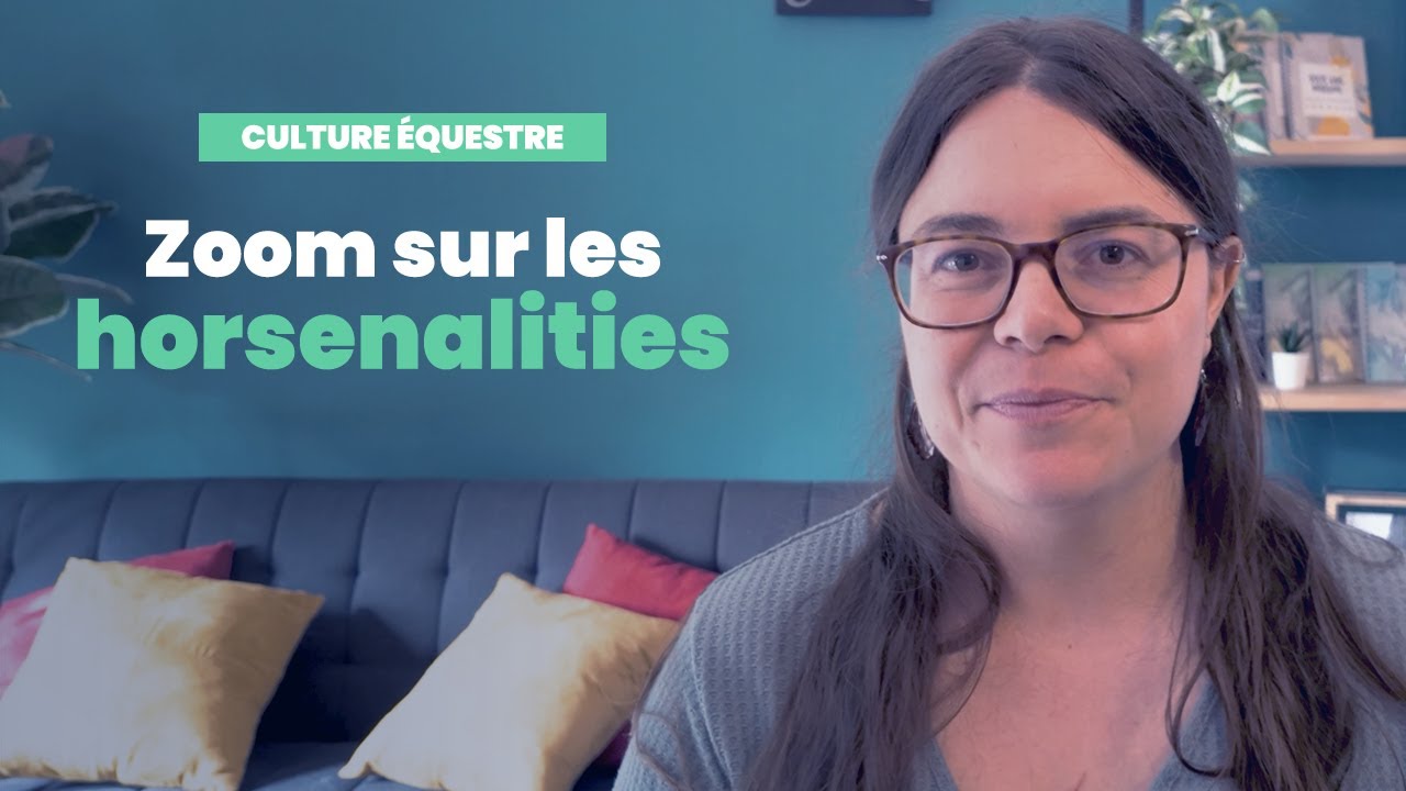 🔥 Zoom sur les horsenalities, les catégories qui permettent de mieux comprendre nos chevaux