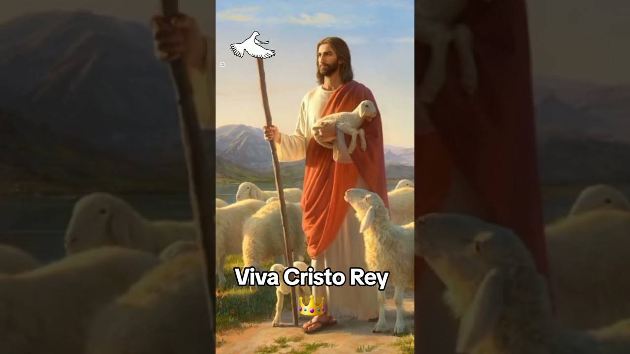 Viva cristo Rey  🙏