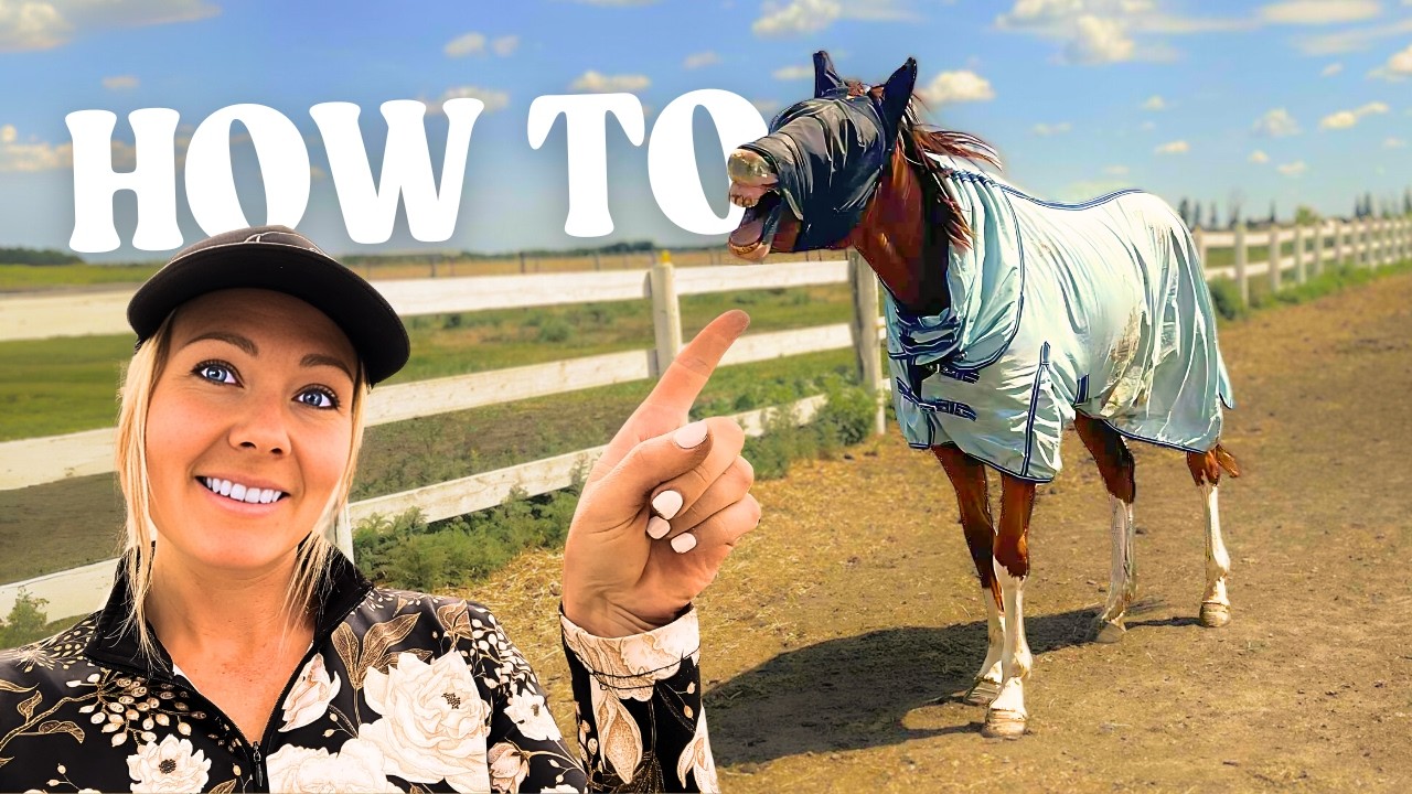 3 Things You NEED To Know About Blanketing a Horse!