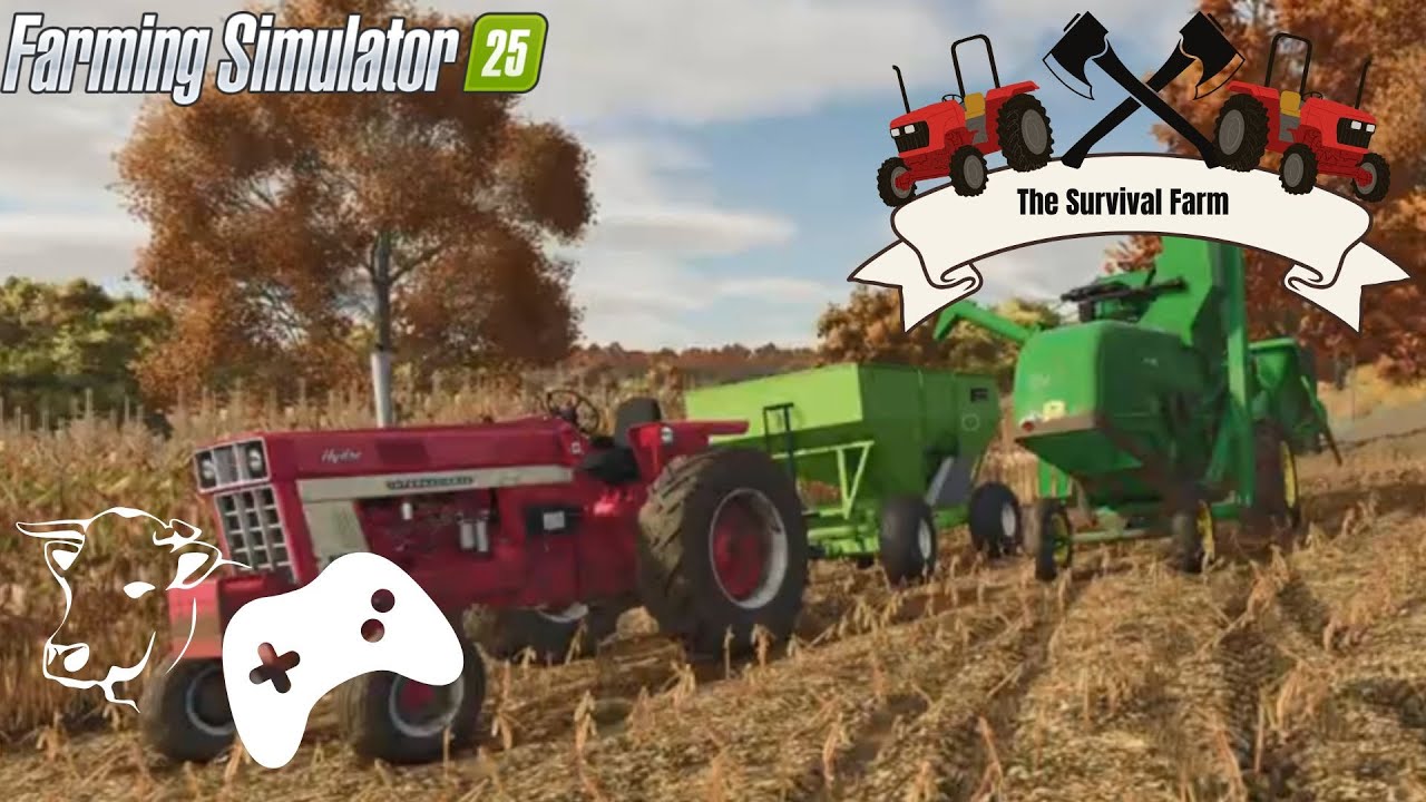 Starting Corn harvest on Rented Ground (FS25 Survival Farm)