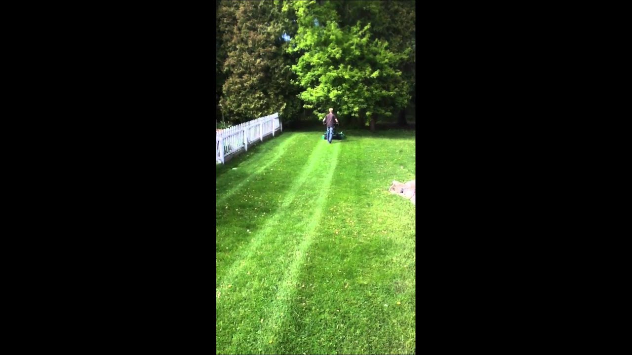 Lesco walkbehind mower striping