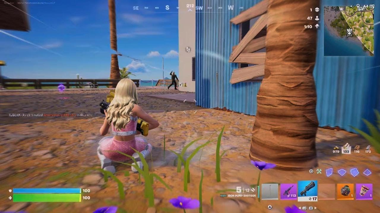 Fortnite_20260213210051