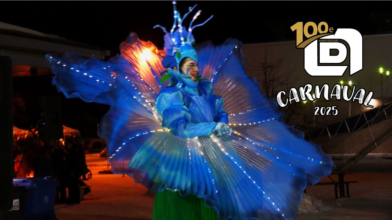 Карнавал - Богоматерь Лурдская - 100-летие