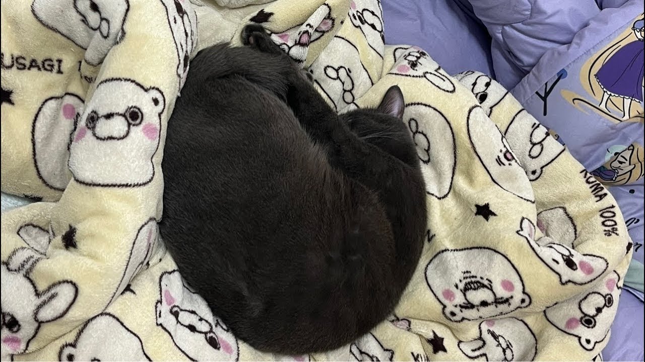 飯食わないと寒い　物件のアンペア数上げられないと言われたw