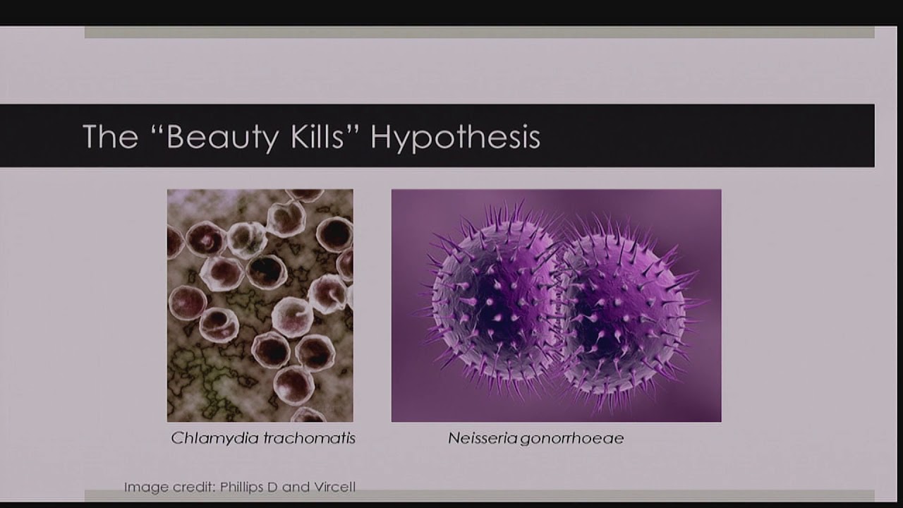 BAHFest London 2017 - Katherine Read: The Protective Effect of Aesthetic Inadequacy