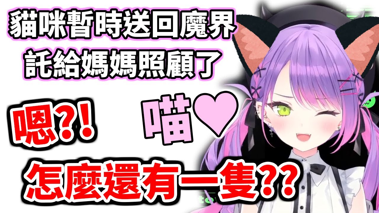 萌殺警報！TMT喵喵來襲～【hololive／ホロライブ】【常闇永遠／常闇トワ】