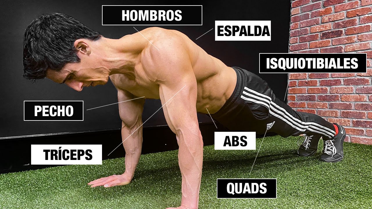 Cómo Trabajar CADA Músculo con una Flexión ¡CUERPO COMPLETO!
